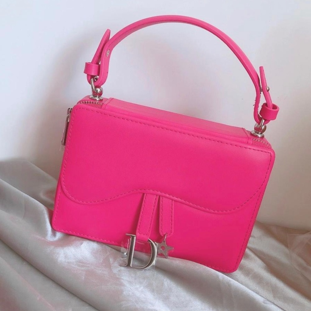 Dior Saddle Bag Cosmetic Case with Strap